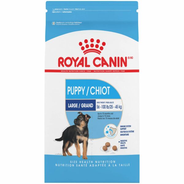 Best Dog Food For Rottweilers Top Picks For Optimal Health Alpha Paw