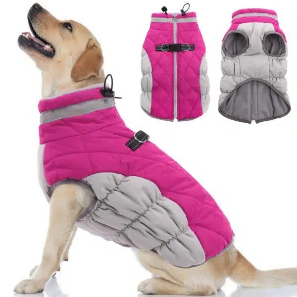 Best Dog Coats For Winter Top Picks To Keep Your Pup Warm Alpha Paw