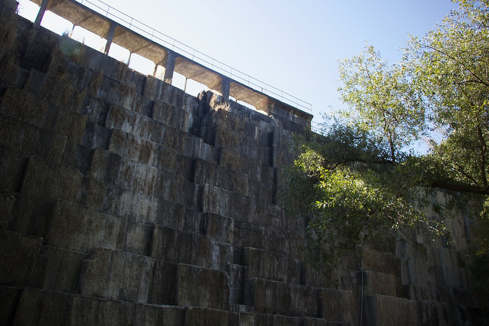 Home Anthropocene Curriculum