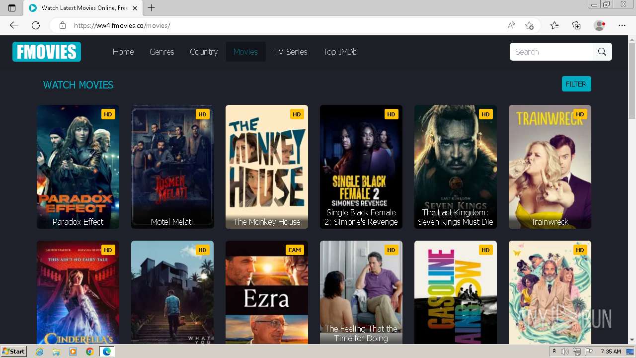 Malware analysis https//ww4.fmovies.co/ Malicious activity ANY.RUN(02)