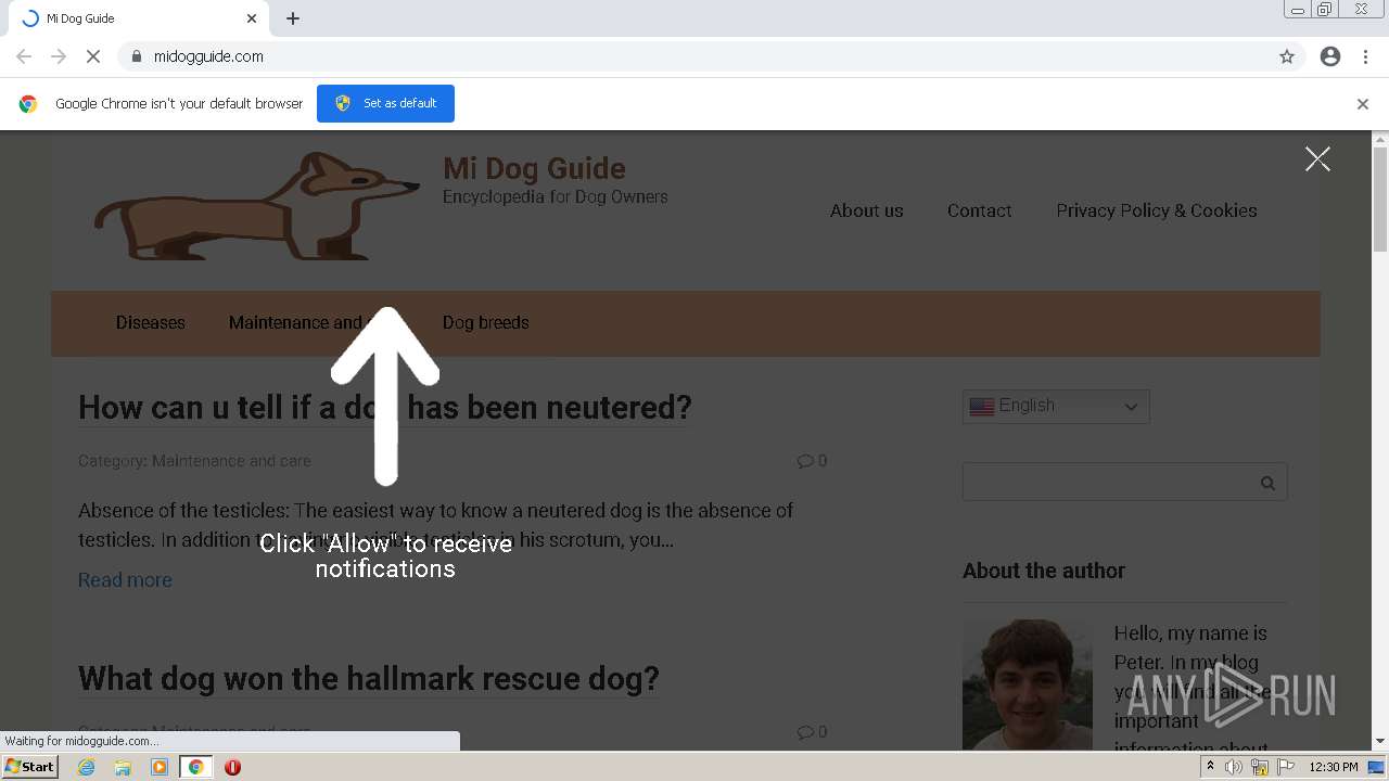 ANY.RUN Free Malware Sandbox Online