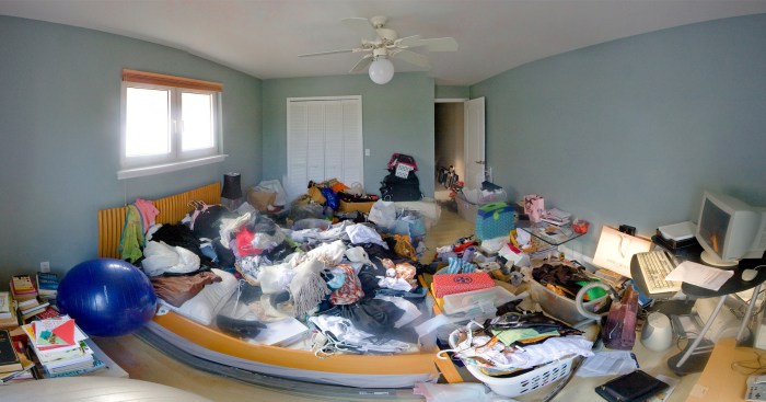 Clutter decluttering divorce flea detachment struggle eliminate allison gingras