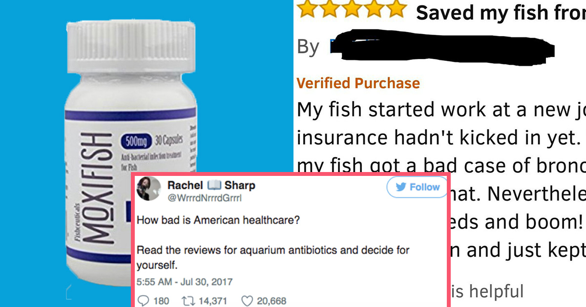 People are buying fish pills to save money on drugs ATTN