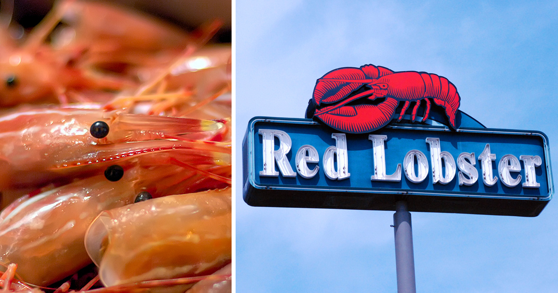Shrimp Slave Trade Connected to Walmart, Red Lobster ATTN