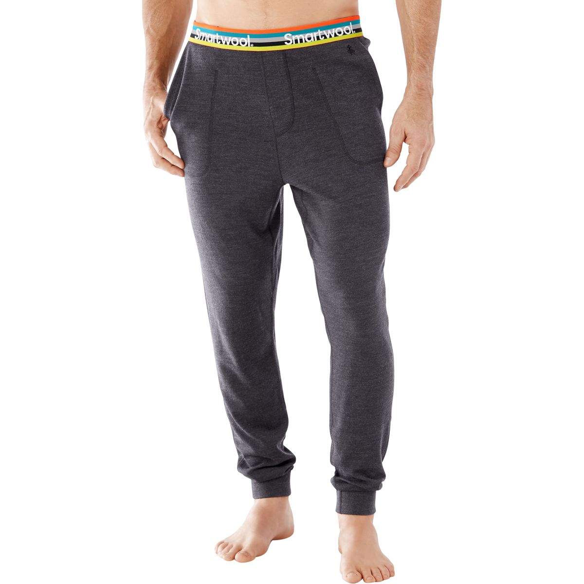 Smartwool Merino 250 Jogger Pant Men's