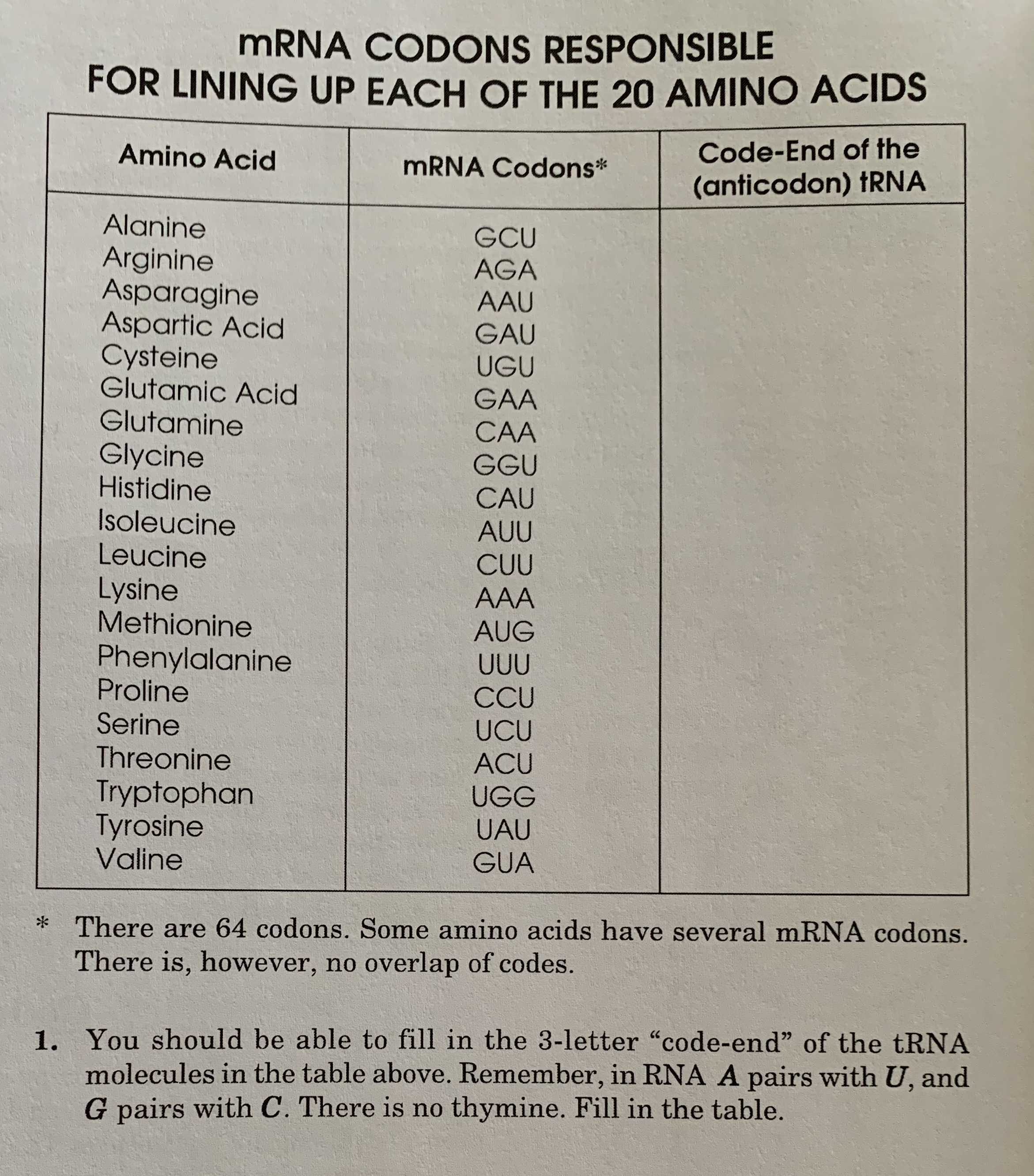 Answered: MRNA CODONS RESPONSIBLE FOR LINING UP EACH OF THE 20