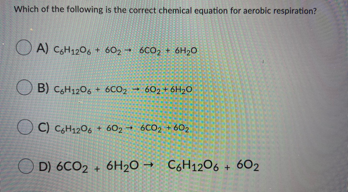 Answered: O A) C6H1206 + 6O2 → 6Co2 + 6H2O B)… | Bartleby