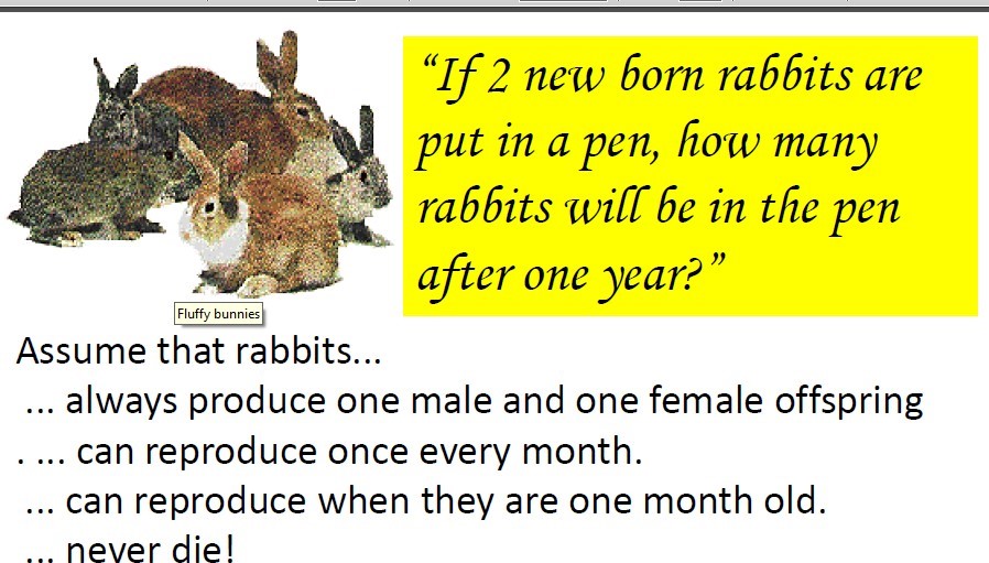 How Many Rabbits In One Pen