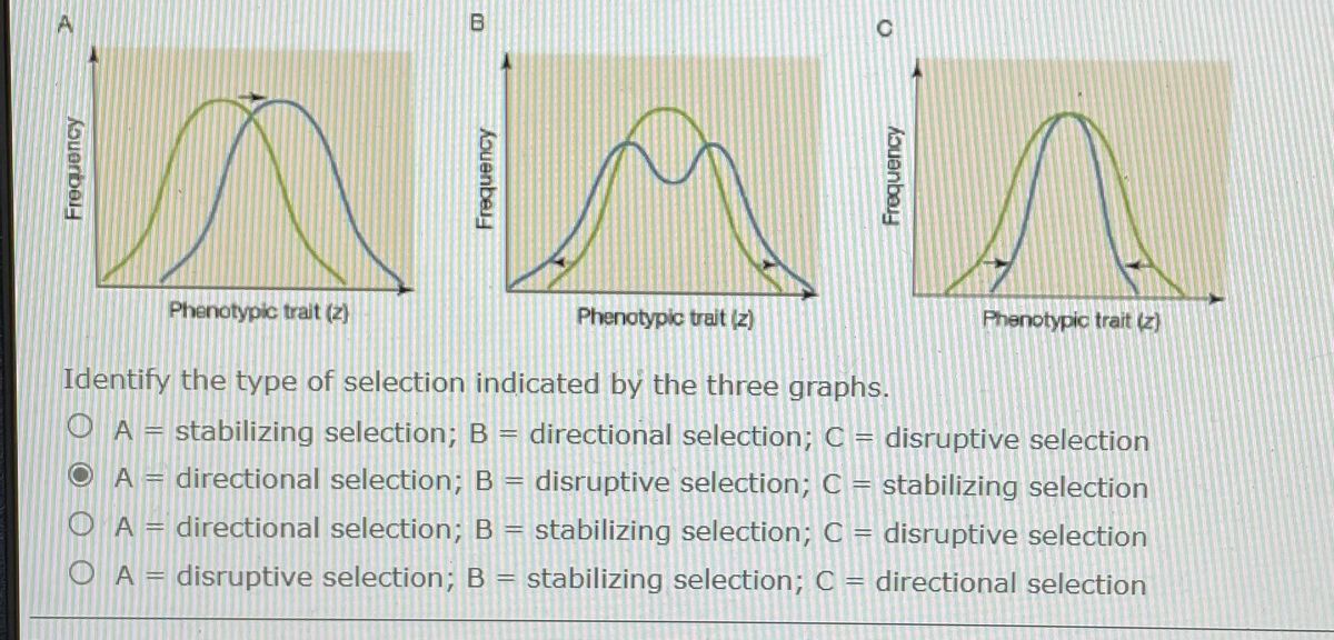 Stabilizing Selection