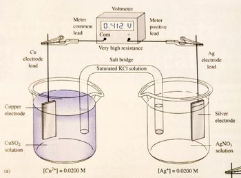 Answered: c. Identify the cathode and the anode… | bartleby