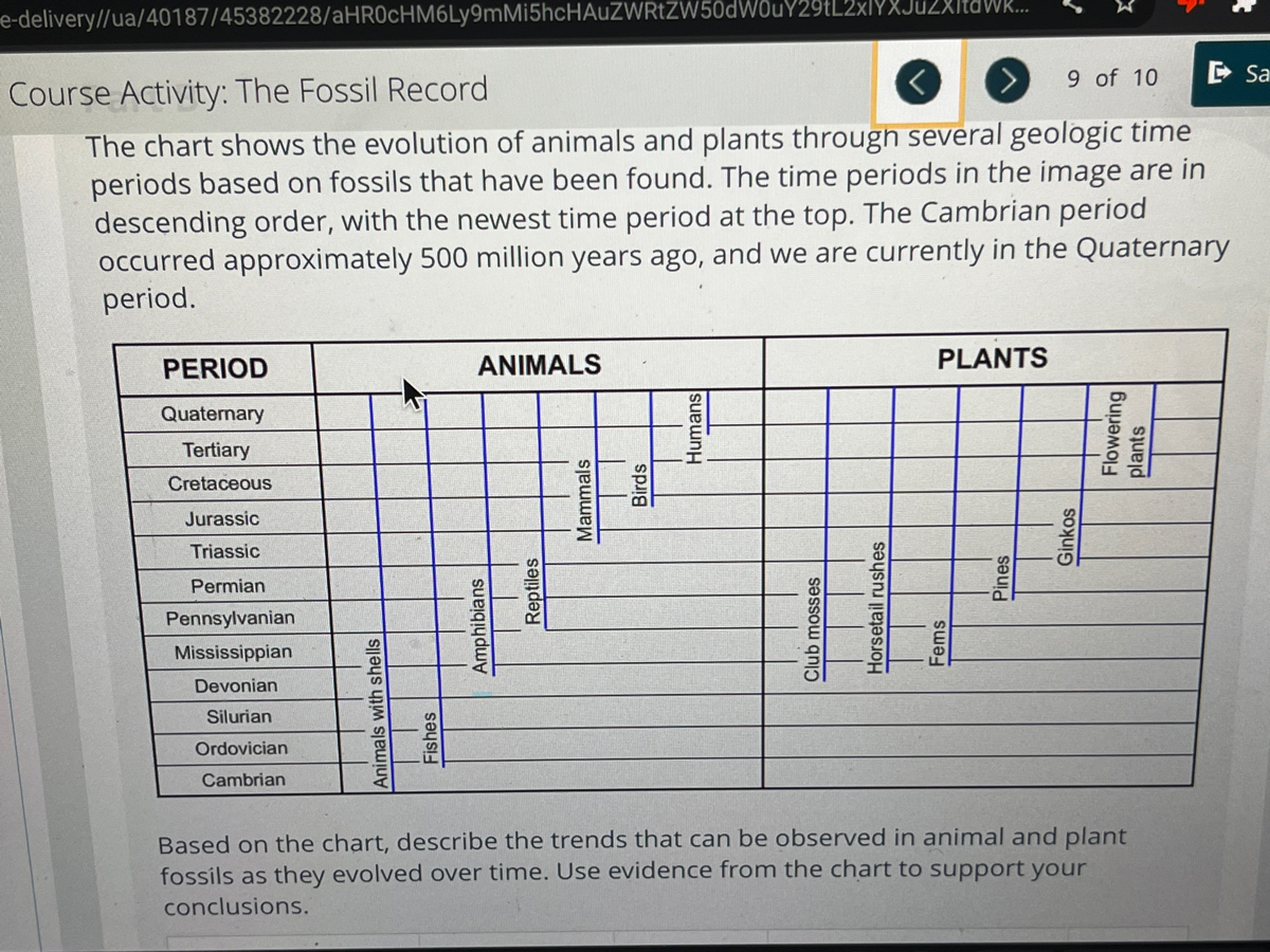 Evolution Of Animals Chart