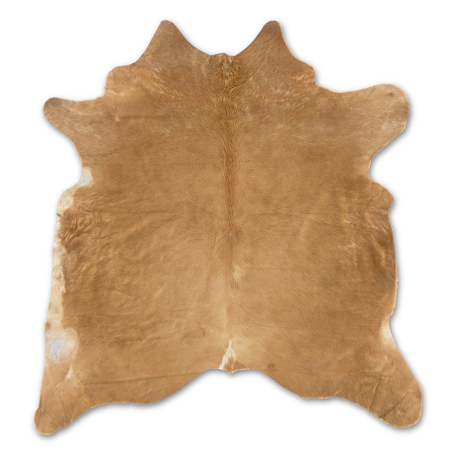 Cowhide Area Rug (5' x 7') American Signature Furniture