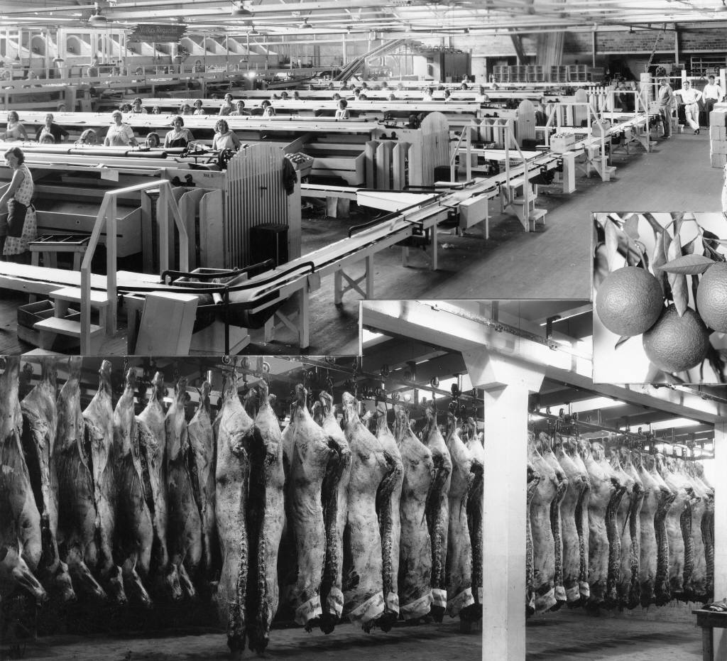 Bruss blog meat packing industry