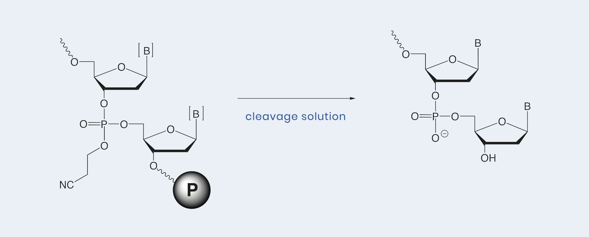 emp BIOTECH GmbH Oligonucleotide Synthesis Reagents