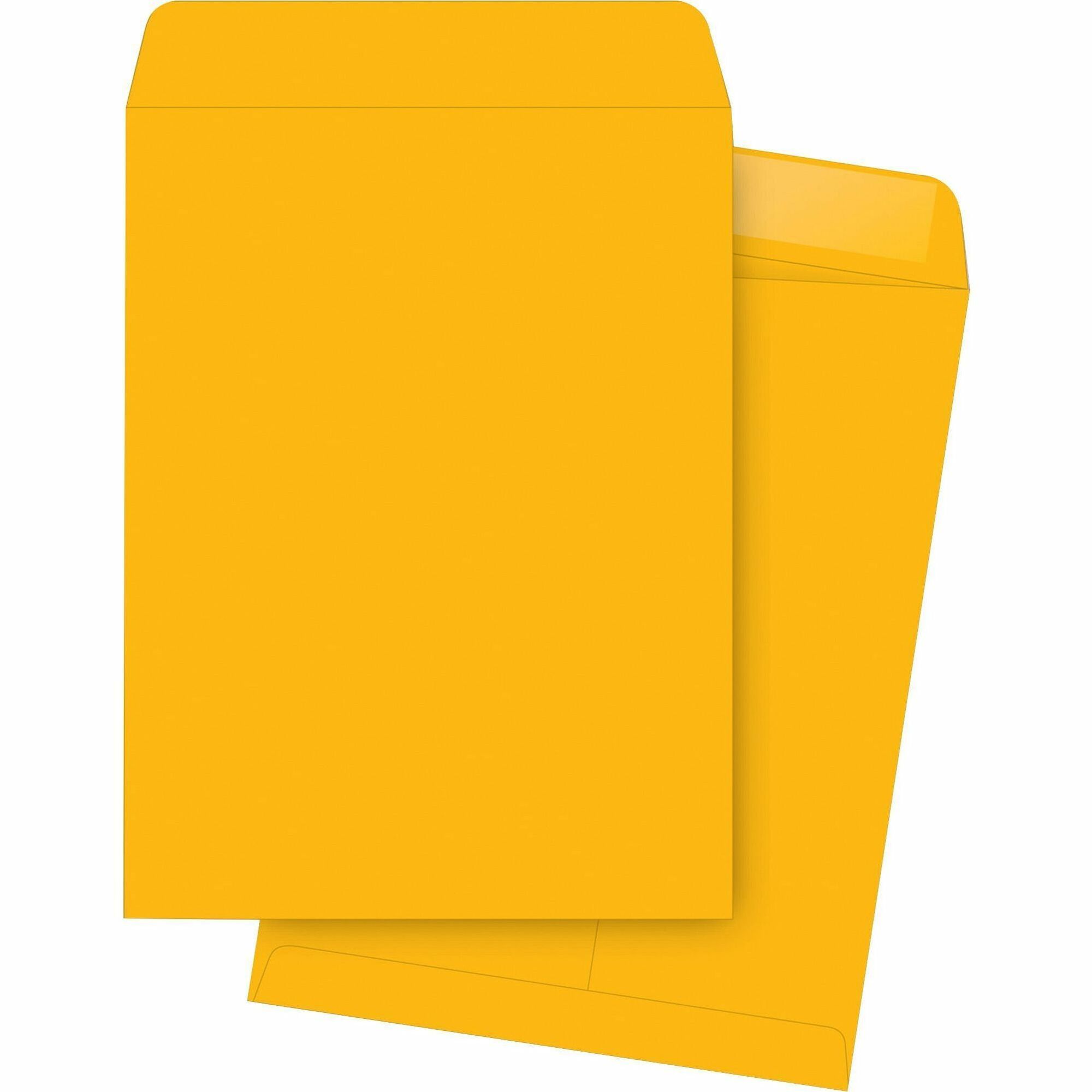 Business Source Plain Catalog Envelope Madill The Office Company