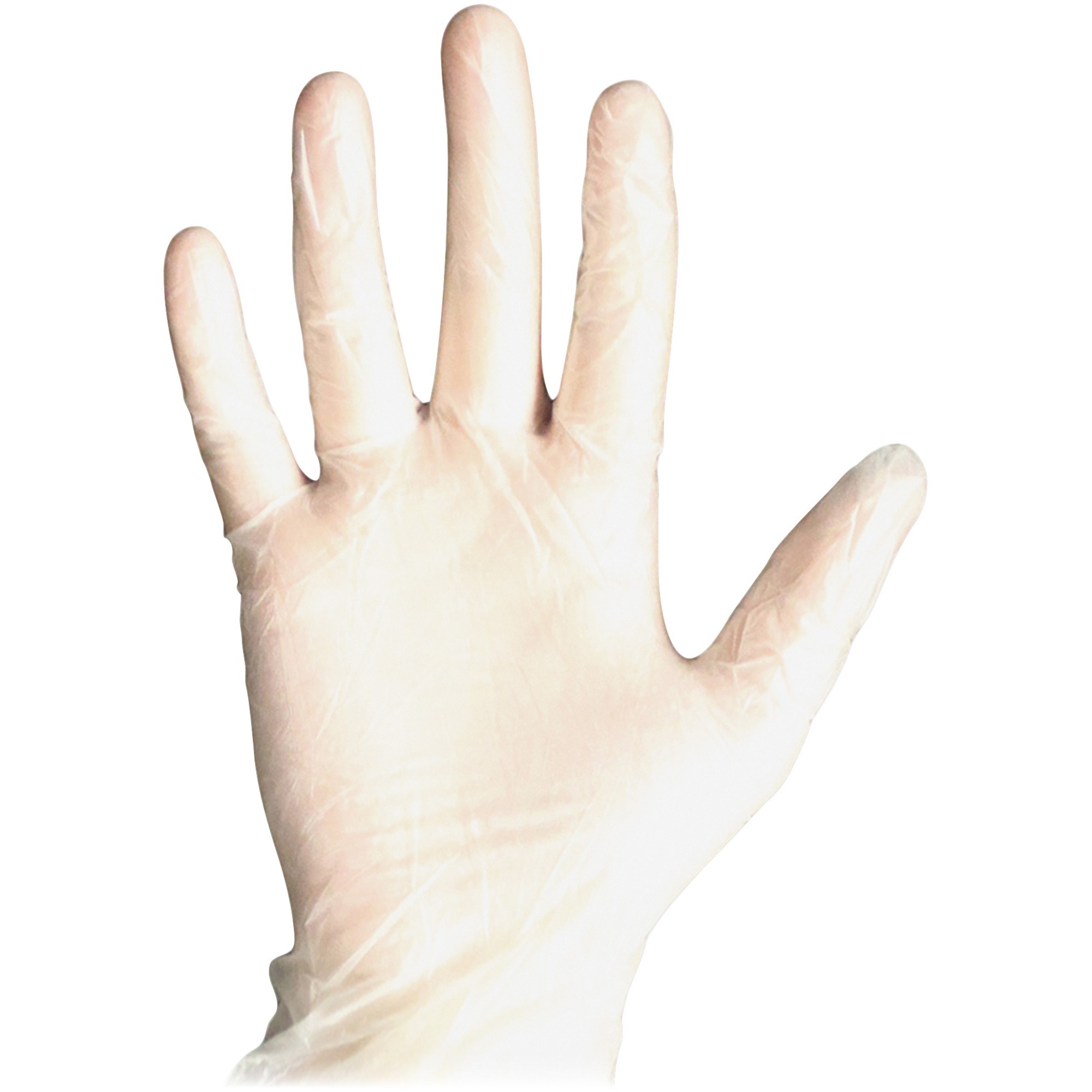 DiversaMed Disposable PF Medical Exam Gloves Large Size Vinyl