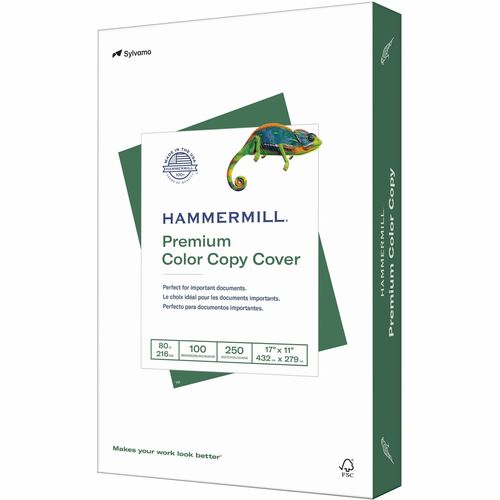 Hammermill Assorted Colors Cardstock, 110 lb, 8.5 x 11 Colored.