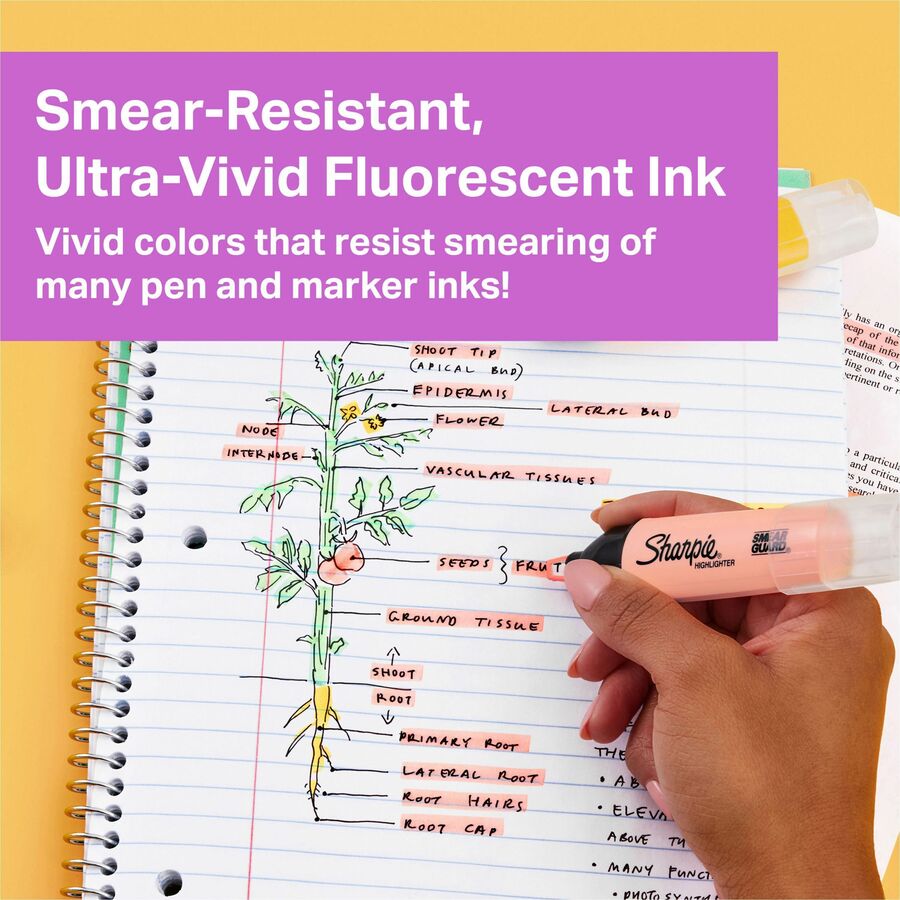 Sharpie Clear View Highlighter Fine Marker Point Chisel Marker