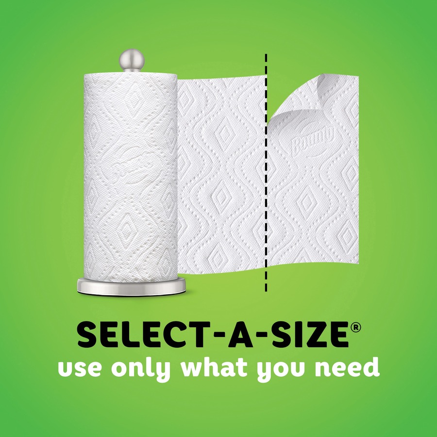 Bounty SelectASize Paper Towels Paper Towels Procter & Gamble