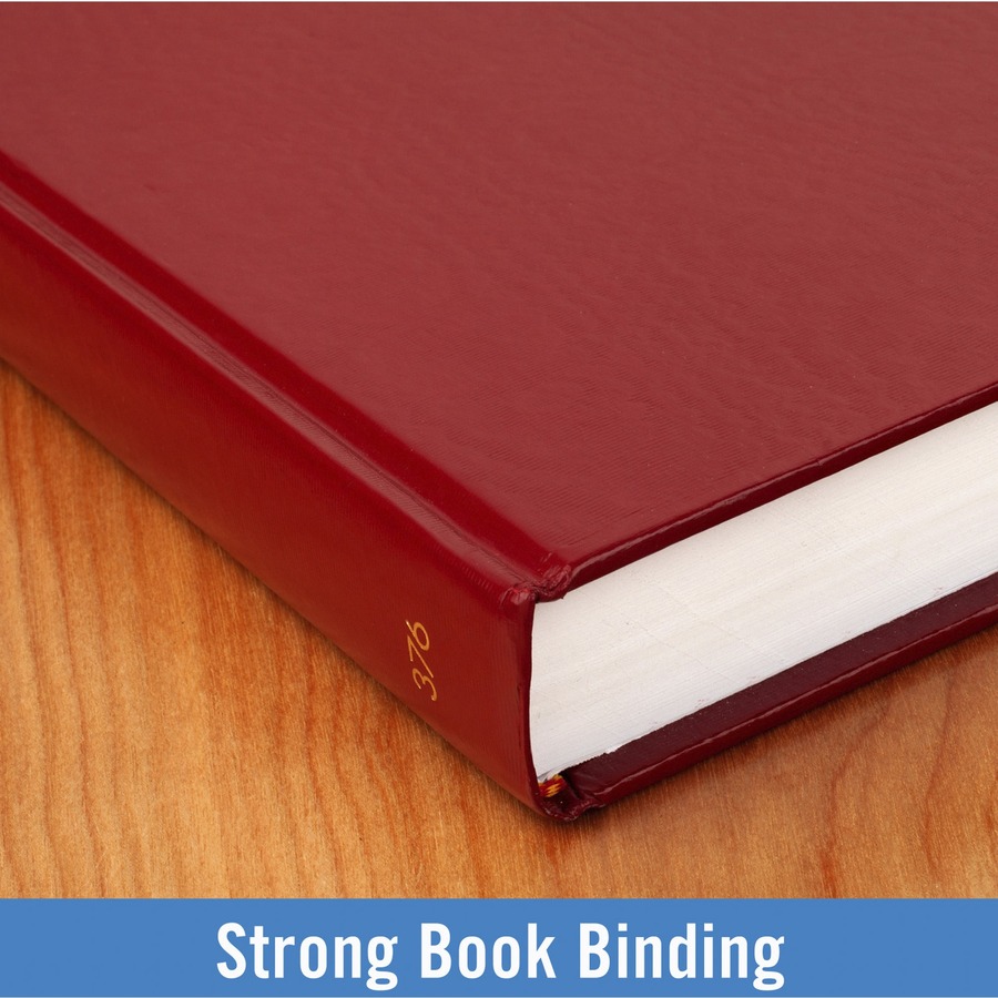 AtAGlance Standard Daily Diary