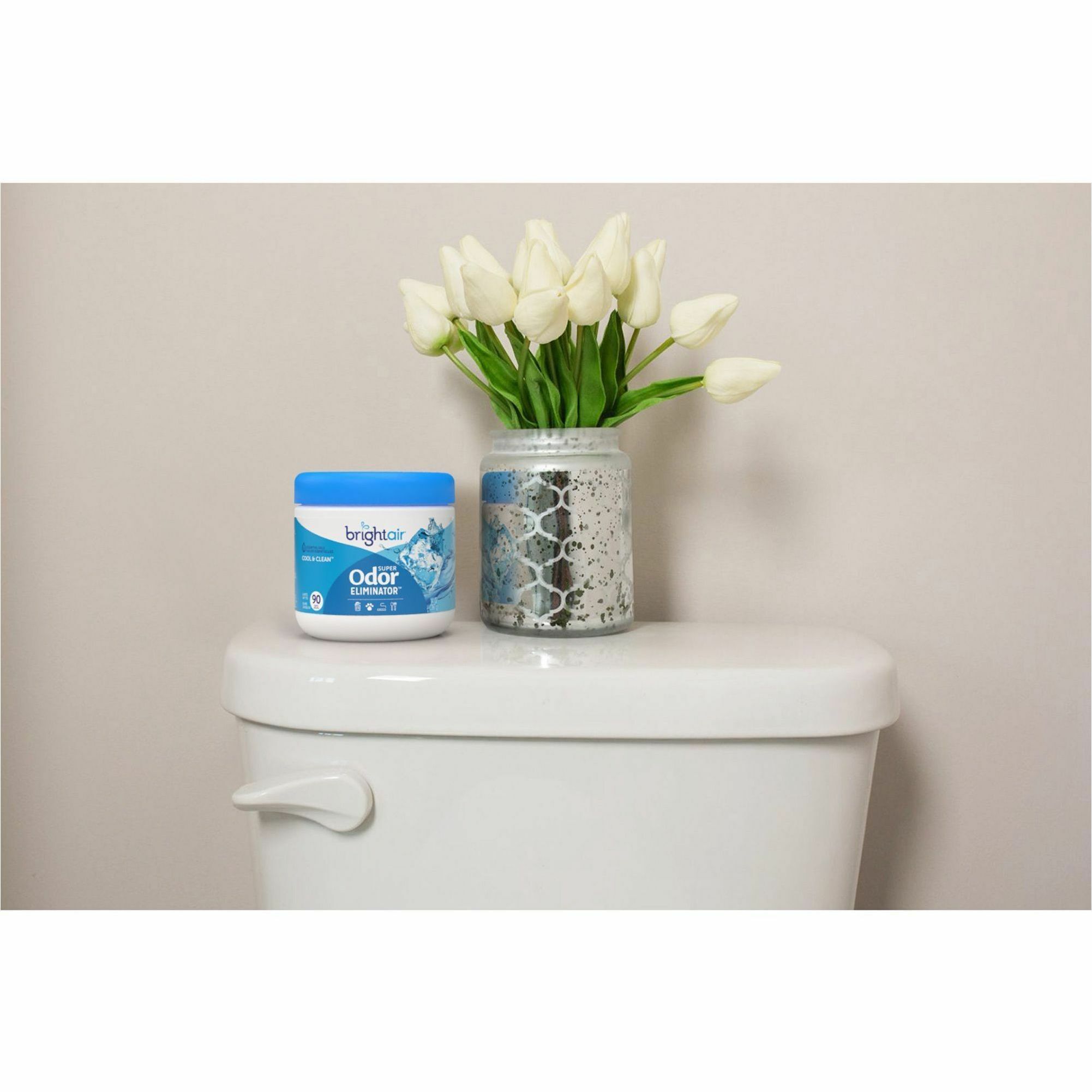 Bright Air Super Odor Eliminator Air Freshener Air Fresheners BPG