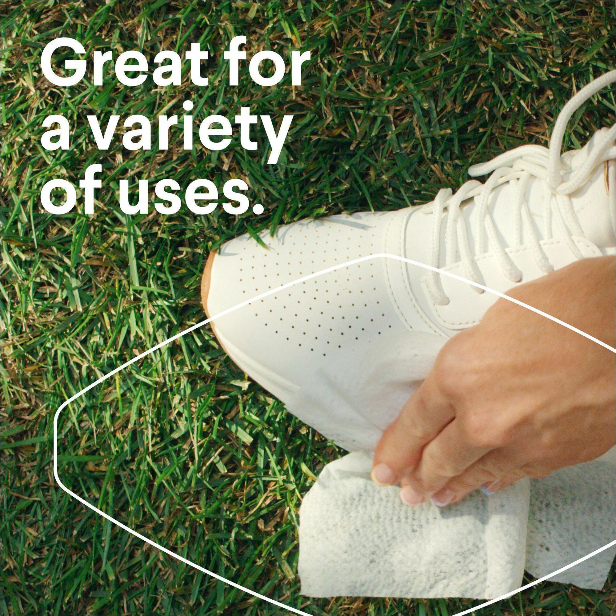 Clorox Triple Action Dust Wipes Walmart USA Stores www.metaltecnica