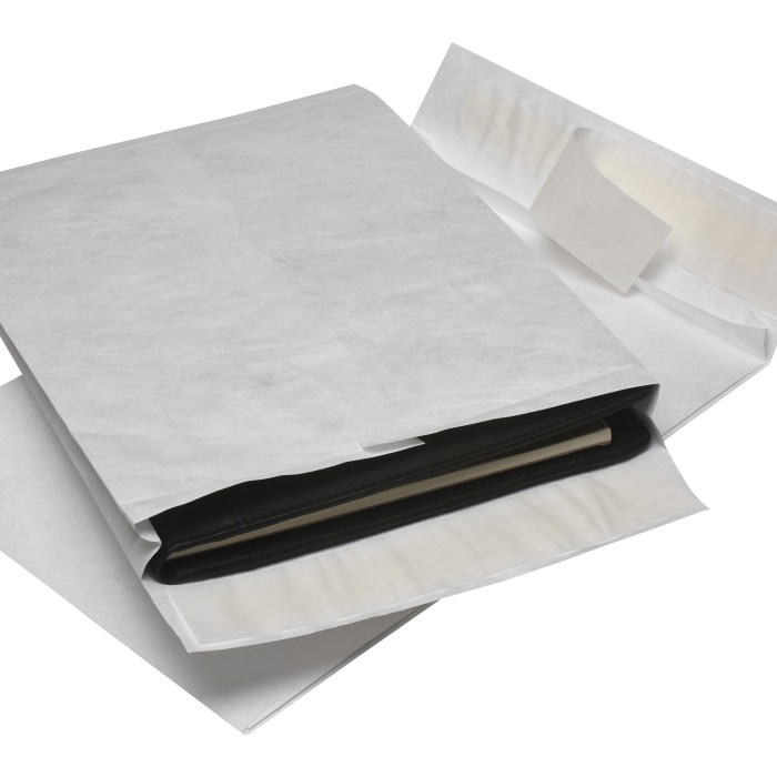 (3 pack) Business Source, BSN65858, DuPont Tyvek Catalog Envelopes, 100 ... Best sonic frontiers mods