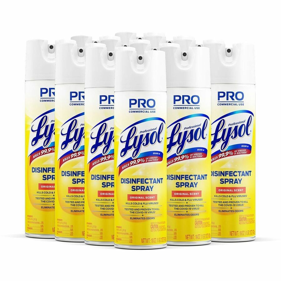 Professional Lysol Original Disinfectant Spray Aerosol 19 fl oz (0.