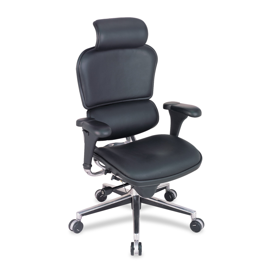 Raynor ergohuman LE9ERG High Back Executive Chair Executive/High Back Chairs The Raynor
