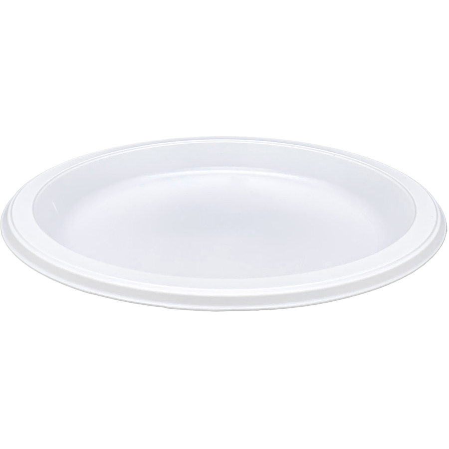 Genuine Joe 101/4" Large Plastic Plates GJO10323