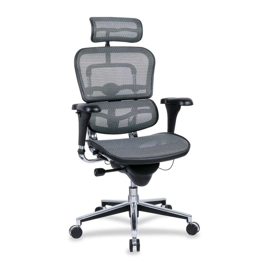 Eurotech ergohuman Mesh Multifunction High Back Executive Chair