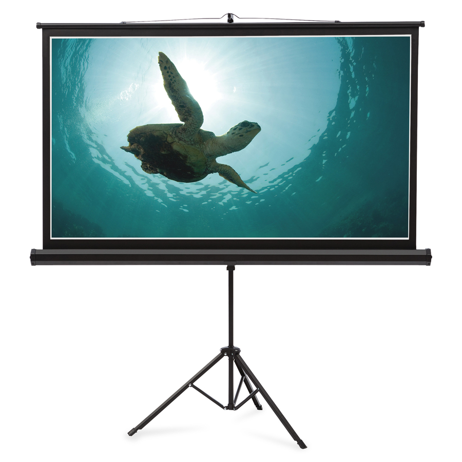 Quartet Manual Projection Screen Projector Screens ACCO Brands