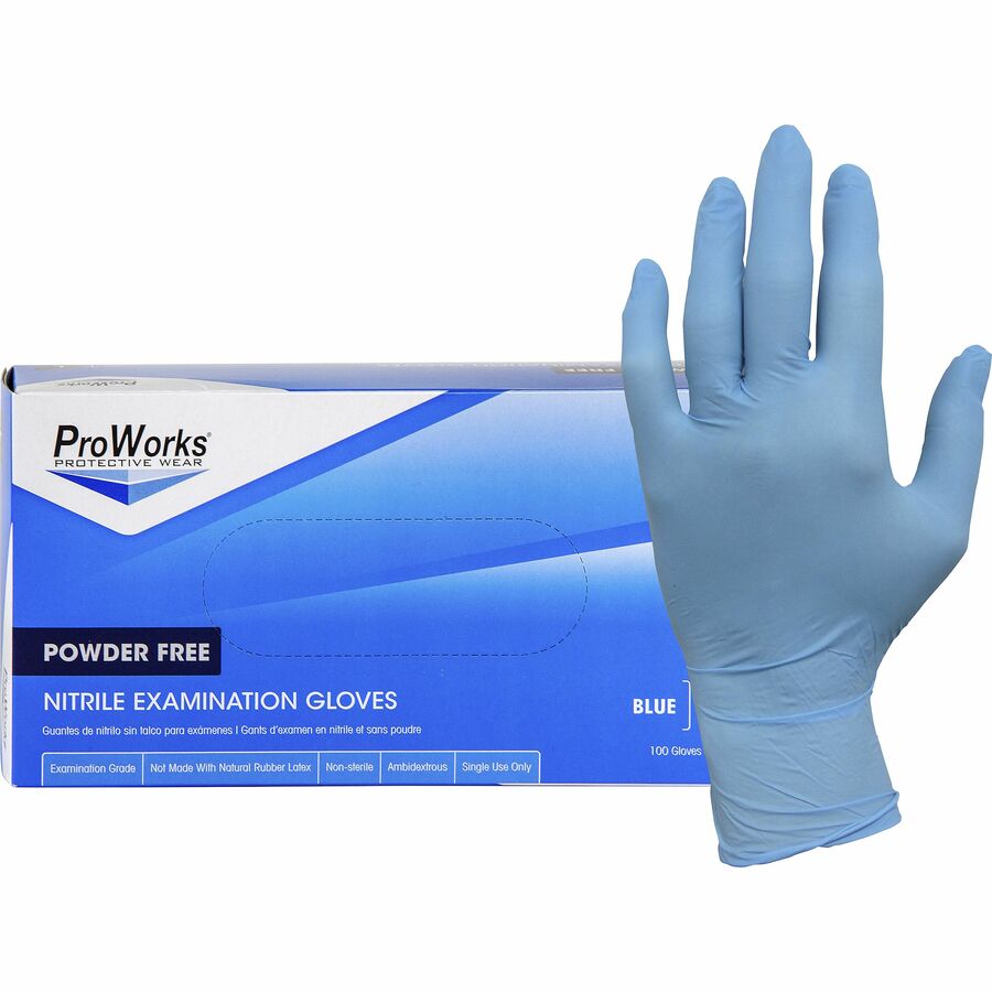 ProWorks NPF Nitrile Powder Free Exam Gloves Exam Gloves Hospeco