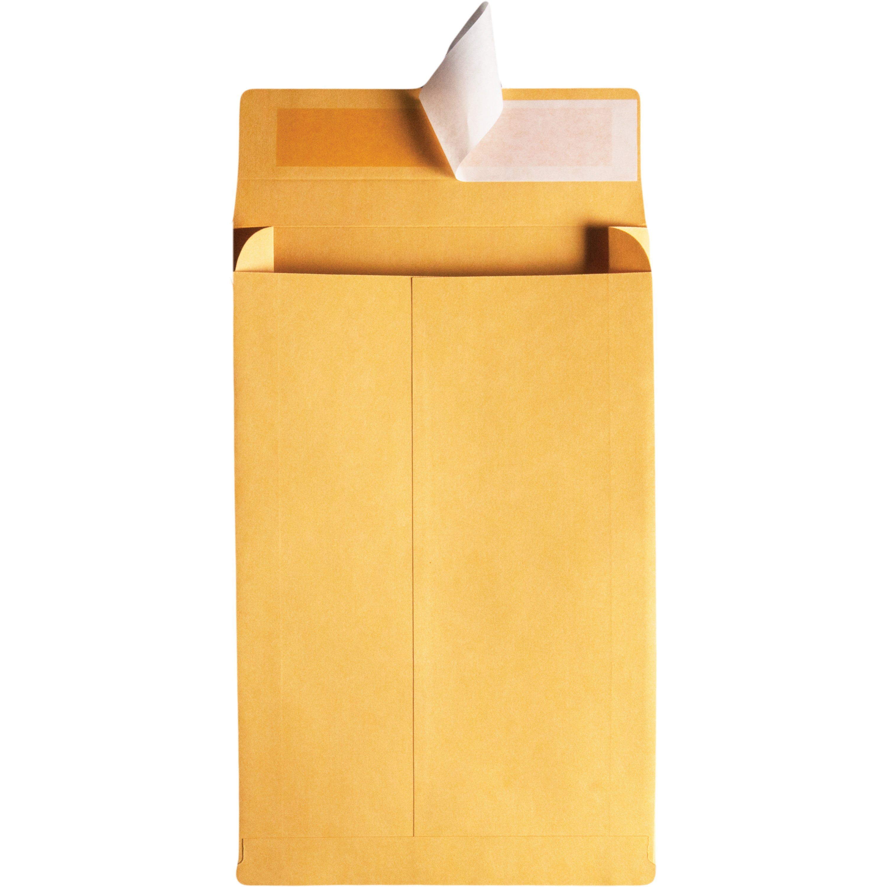 HOME Office Supplies Envelopes & Forms Envelopes Large