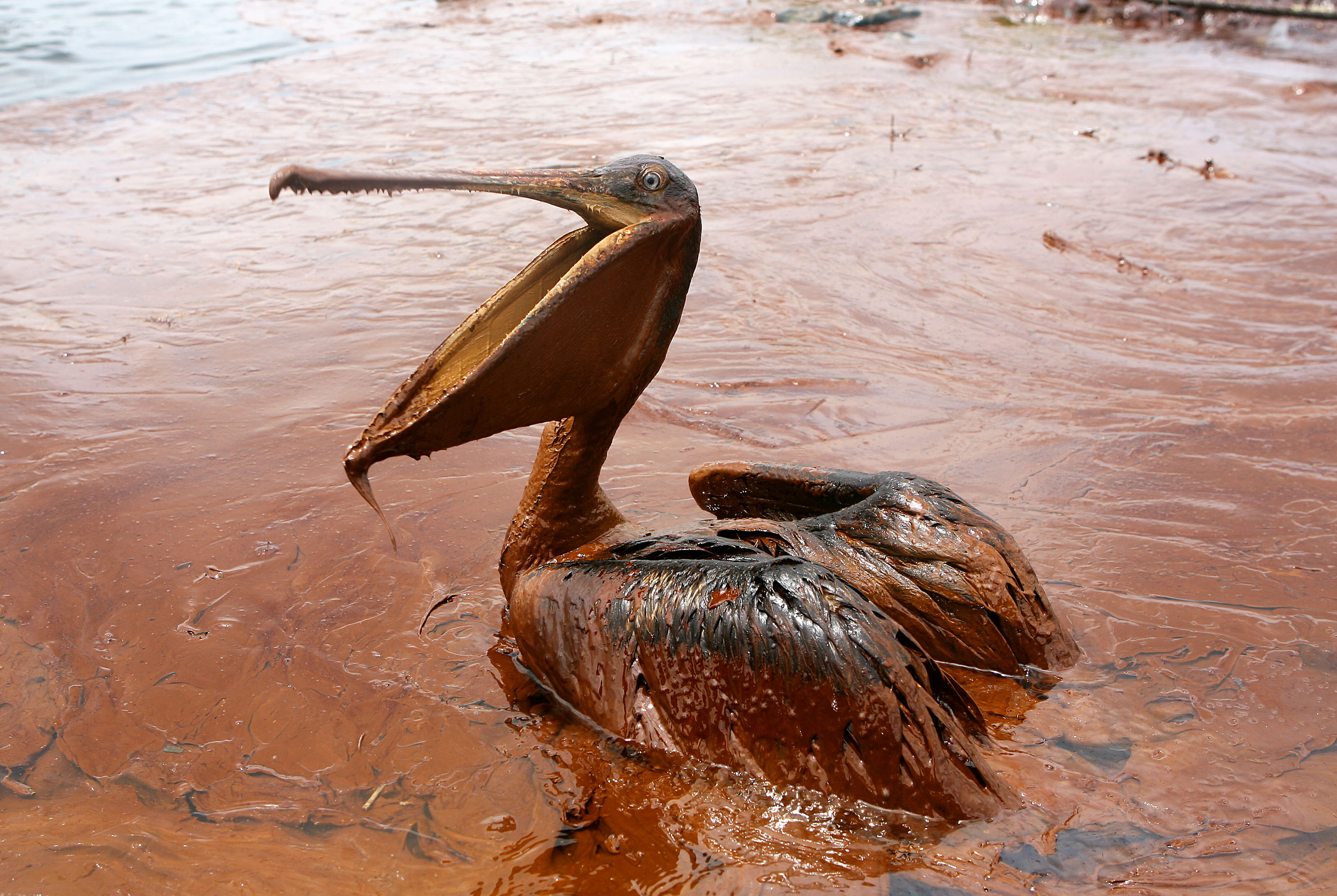 10 important numbers to know about the BP oil spill Fortune