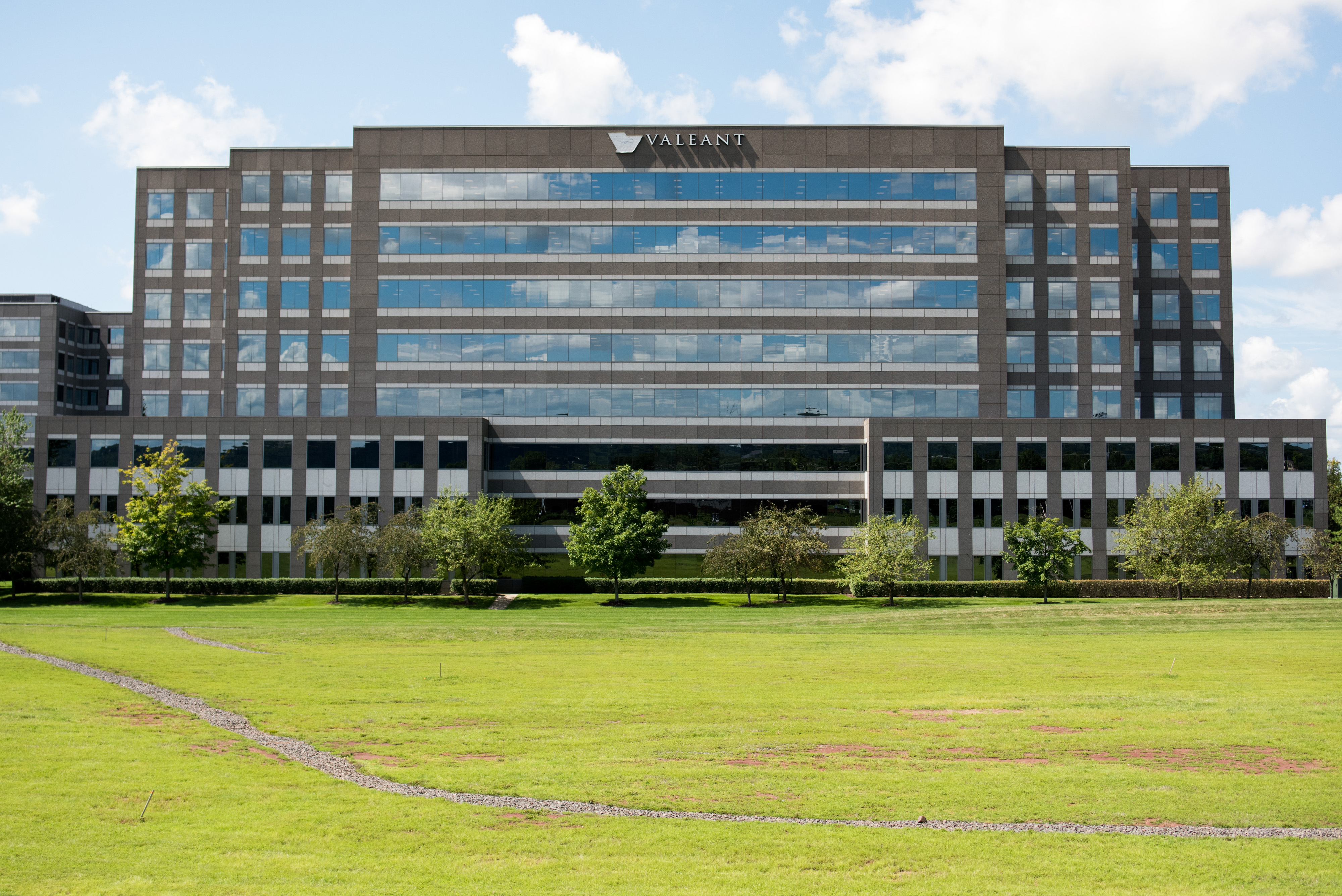 Valeant Is Said to Be Hiring This Zoetis Exec as Its New CFO Fortune