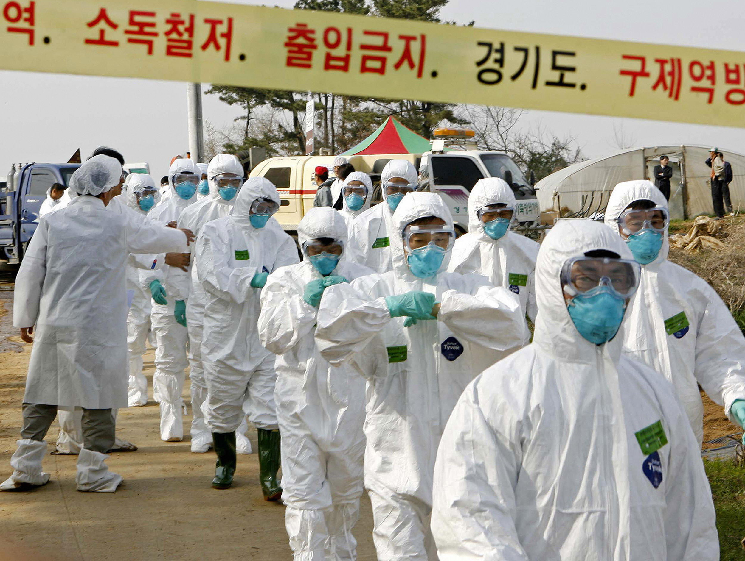 South Korea Elevates Bird Flu Alert Fortune