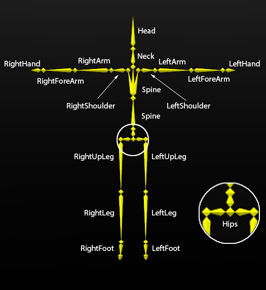 Data Export BVH EXTERNAL OptiTrack Documentation