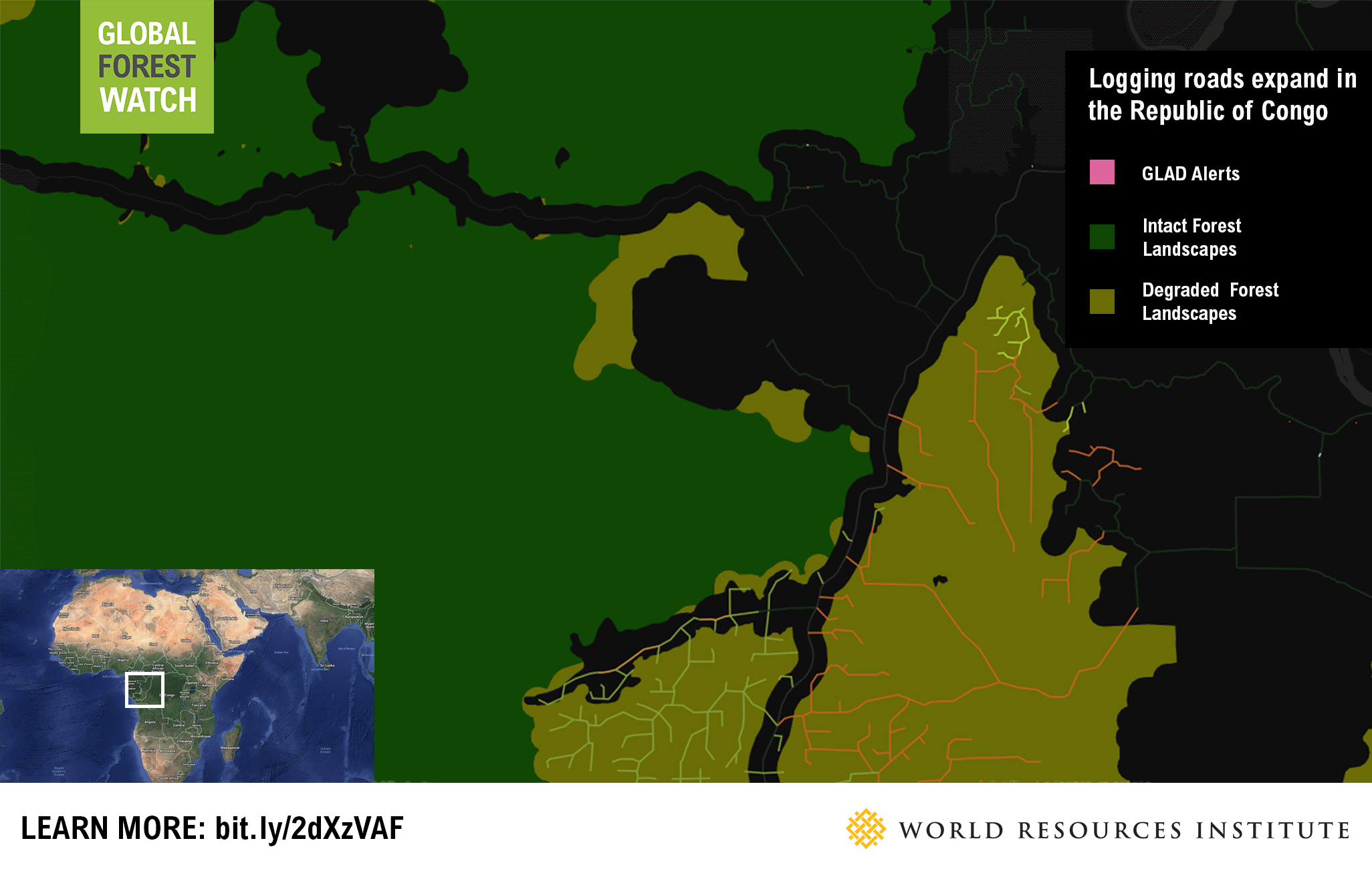 Congo Rainforest Food Chain Basic Food Chain Page 1 Line 17qq Com The congolese rainforest