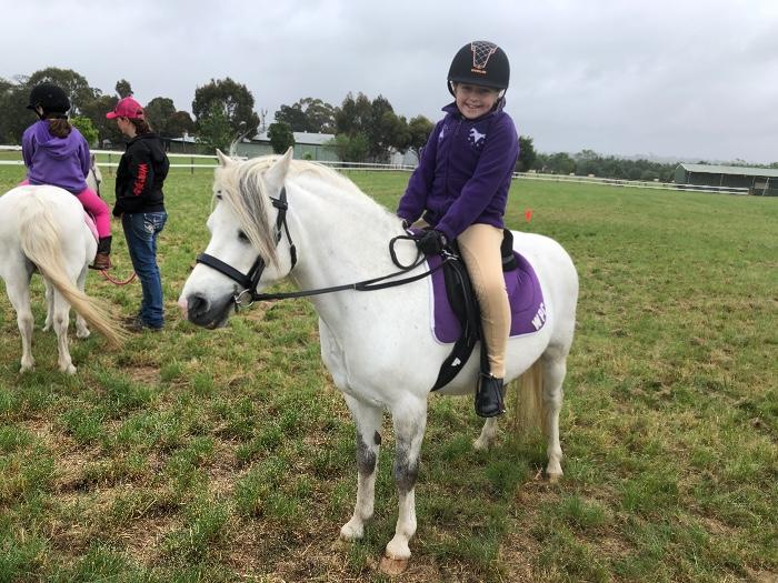 Welsh Ponies For Sale Welsh Horse » Horsezone