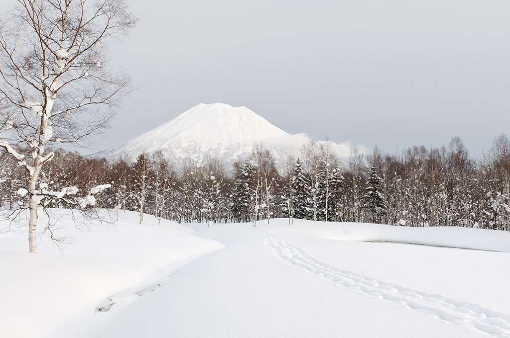 Niseko Skiing holidays Ski holiday Niseko Japan Iglu Ski