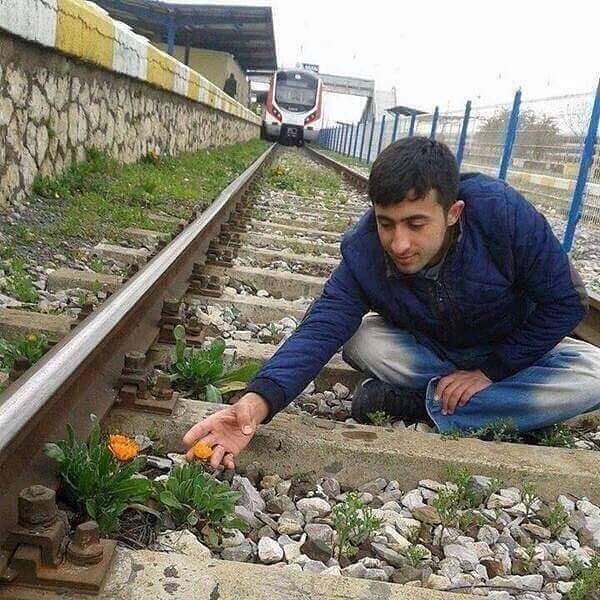 Flower Train Man Meme Generator
