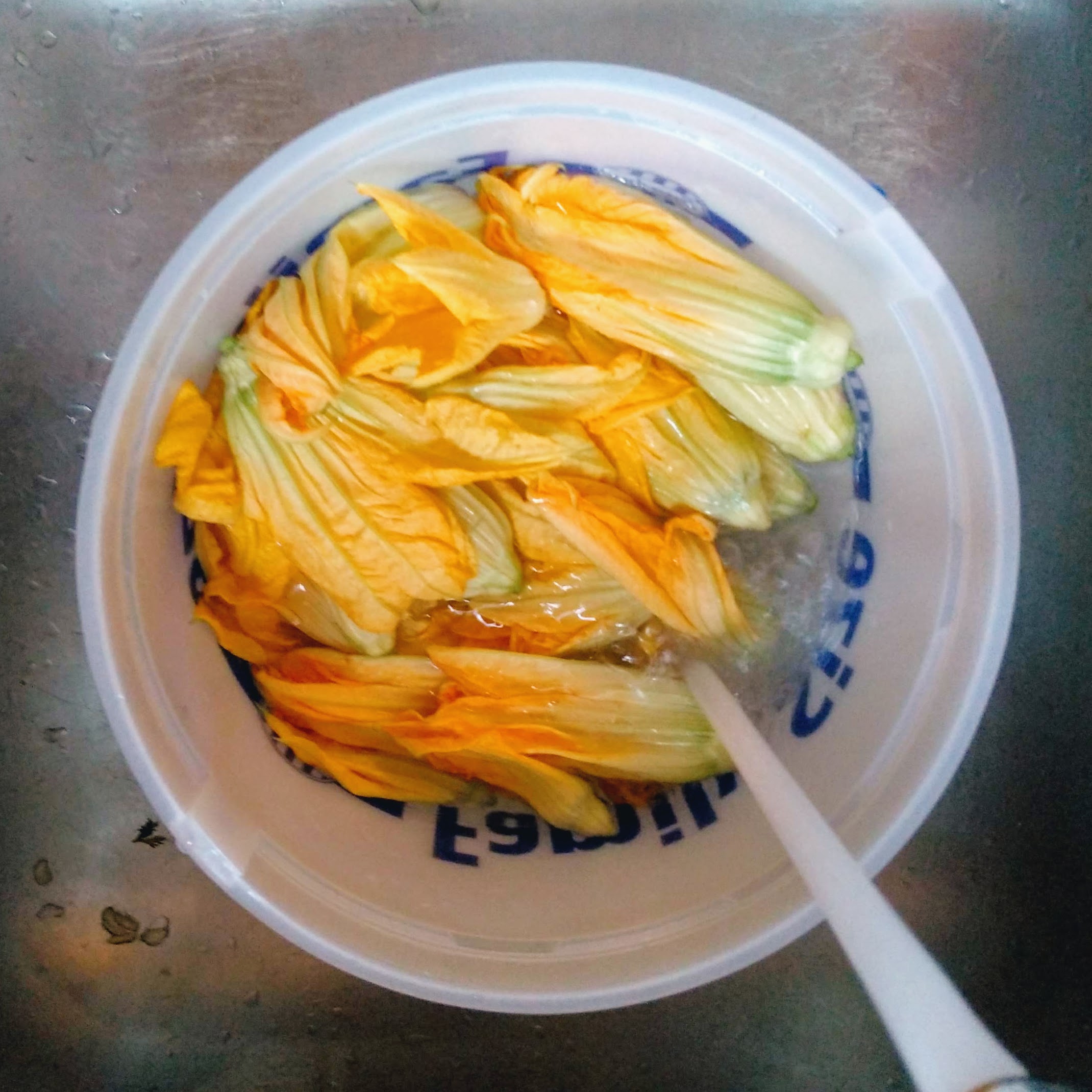 How to Fry Squash Blossoms 9 Steps (with Pictures) Instructables