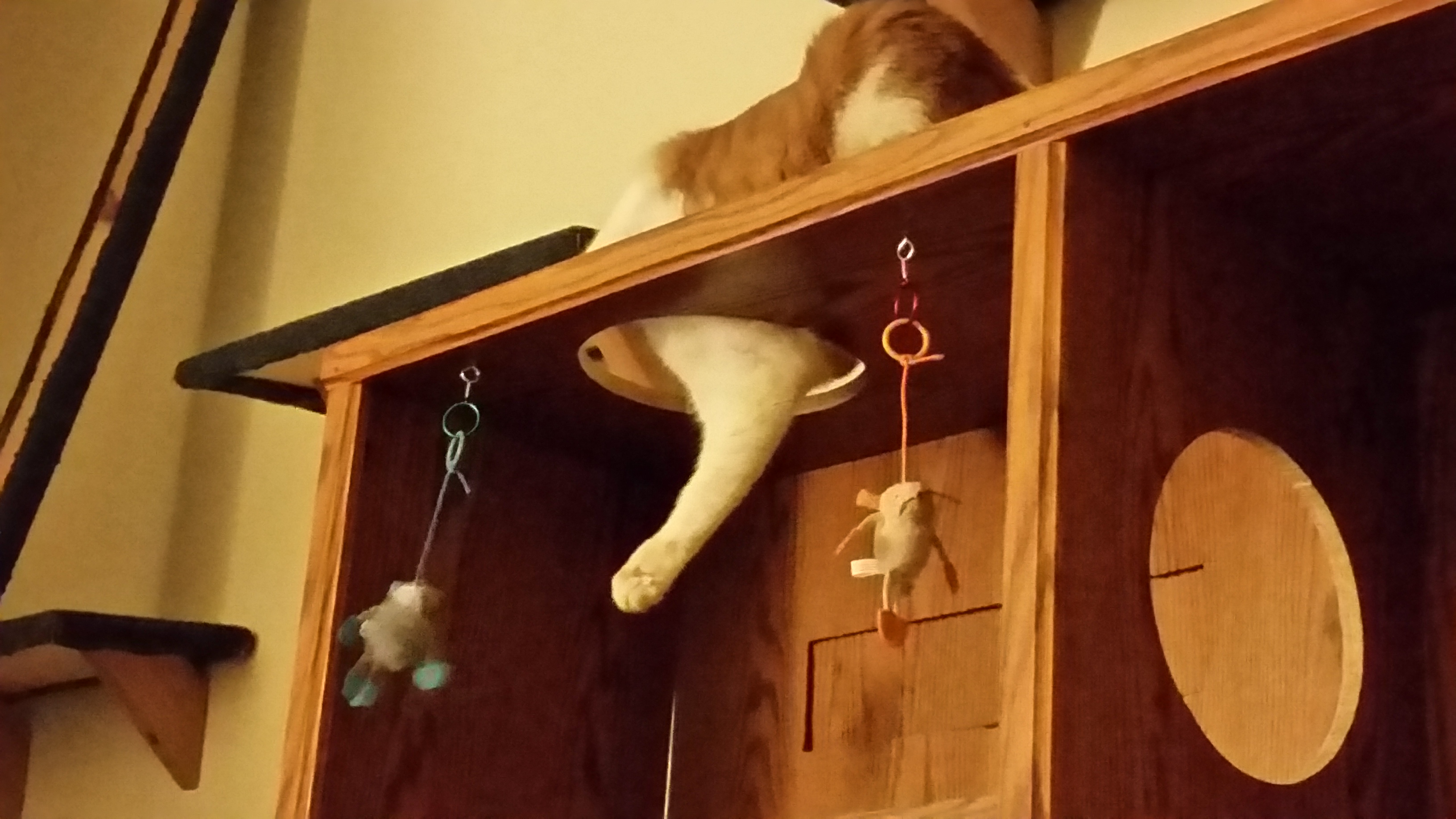 Cheap Cat House 6 Steps (with Pictures) Instructables