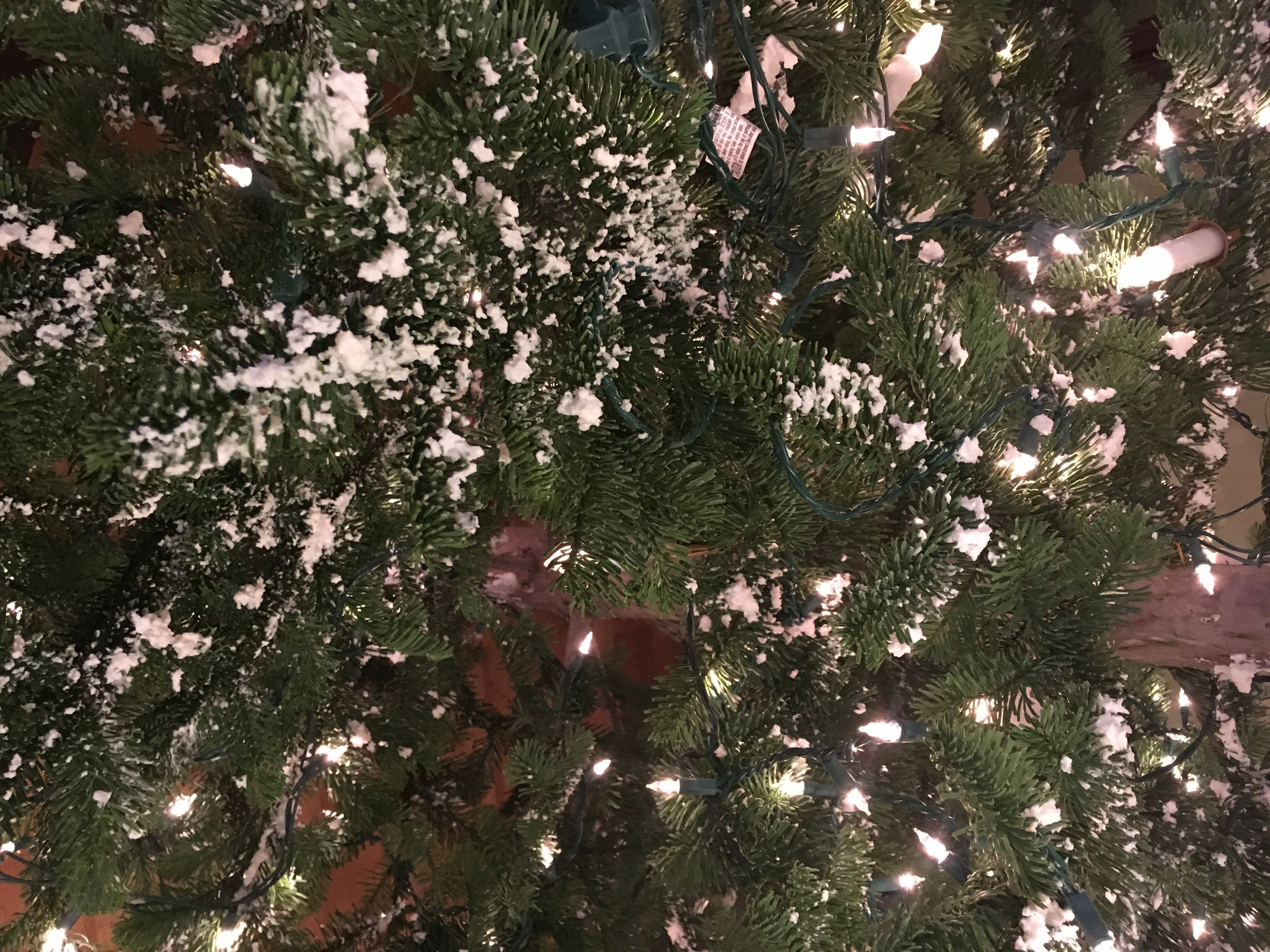 Snow Flocking Christmas Tree's 4 Steps (with Pictures) Instructables