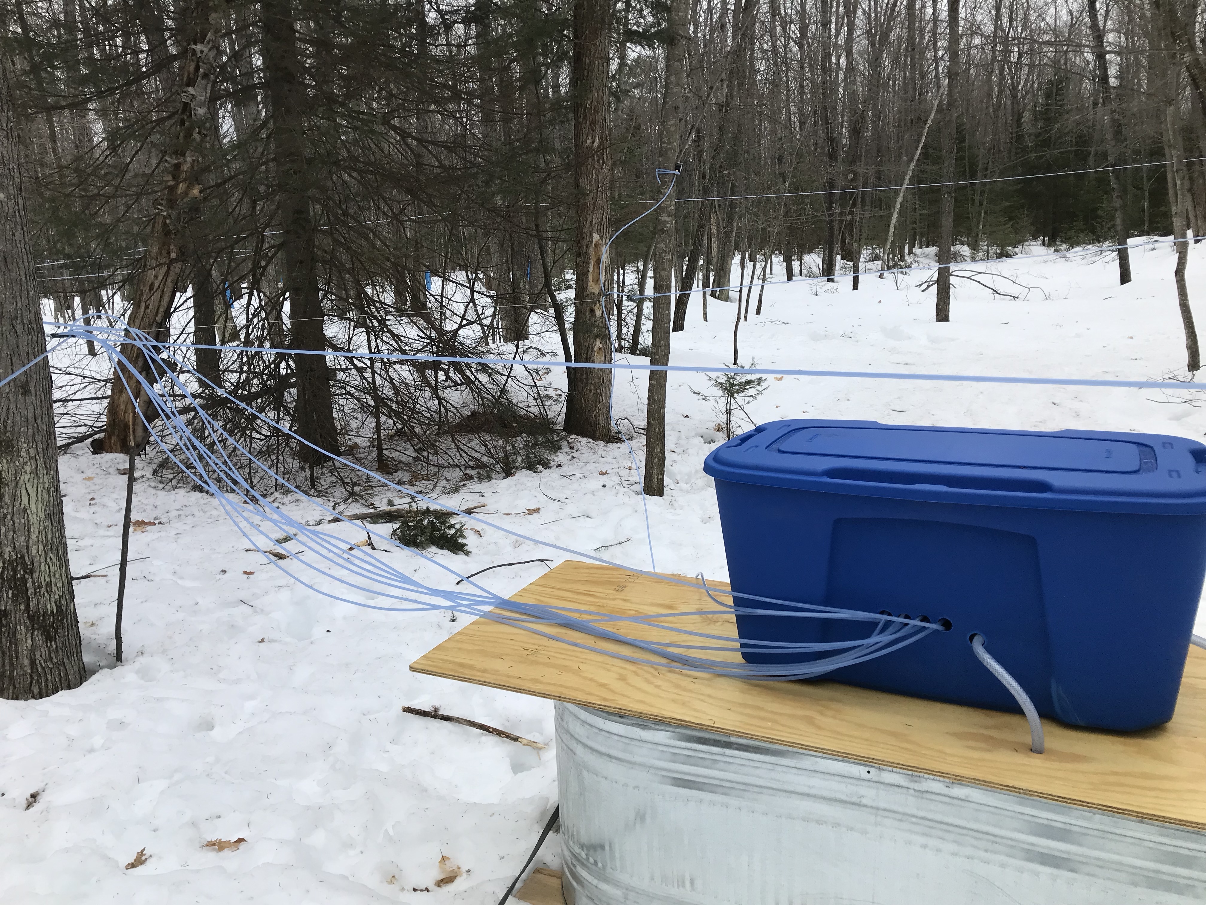 Off Grid Solar Powered Maple Sap Vacuum System 7 Steps (with Pictures