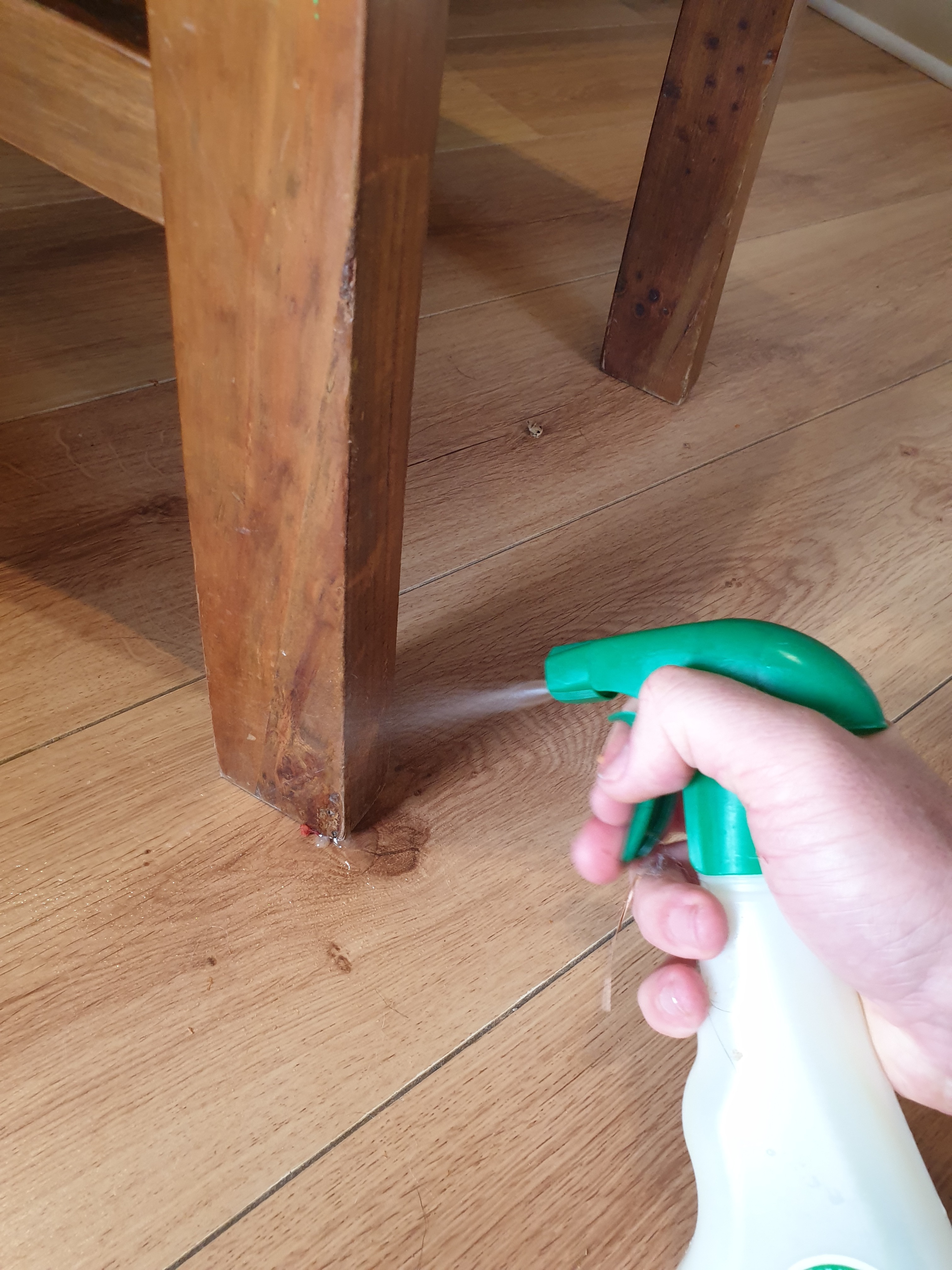 How to Stop a Puppy Chewing Wood and Cables 3 Steps Instructables