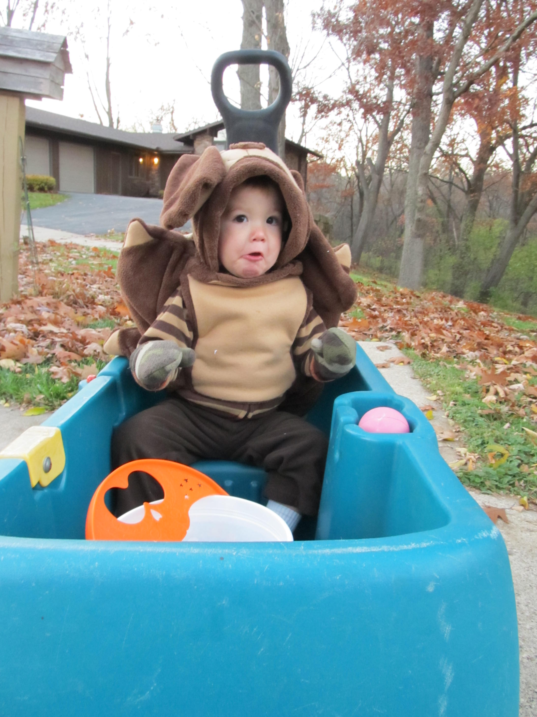 Skylander Dreamlight Pillow Pet Costume 11 Steps (with Pictures