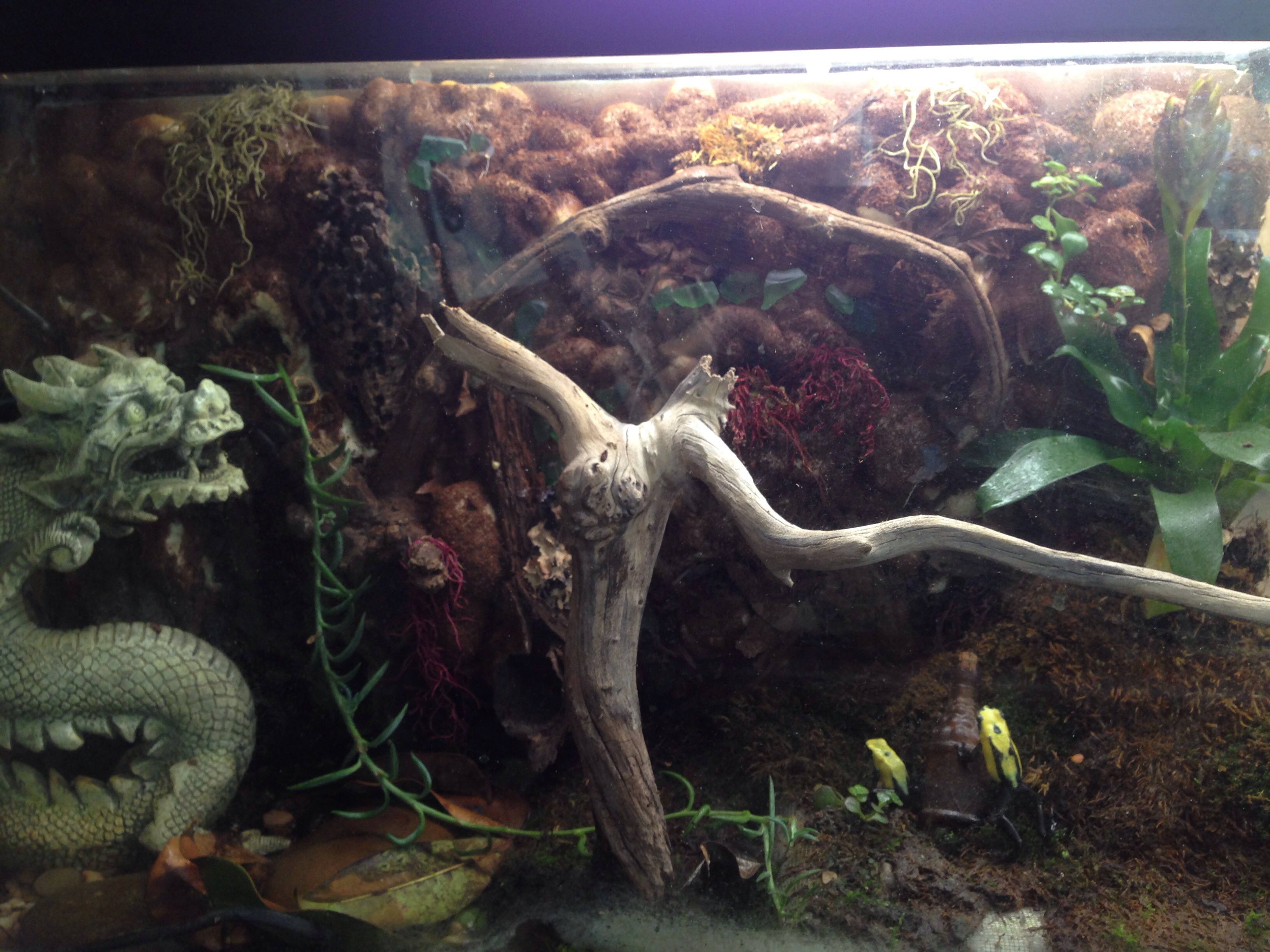 How To Make 3d Vivarium Background atelieryuwa.ciao.jp