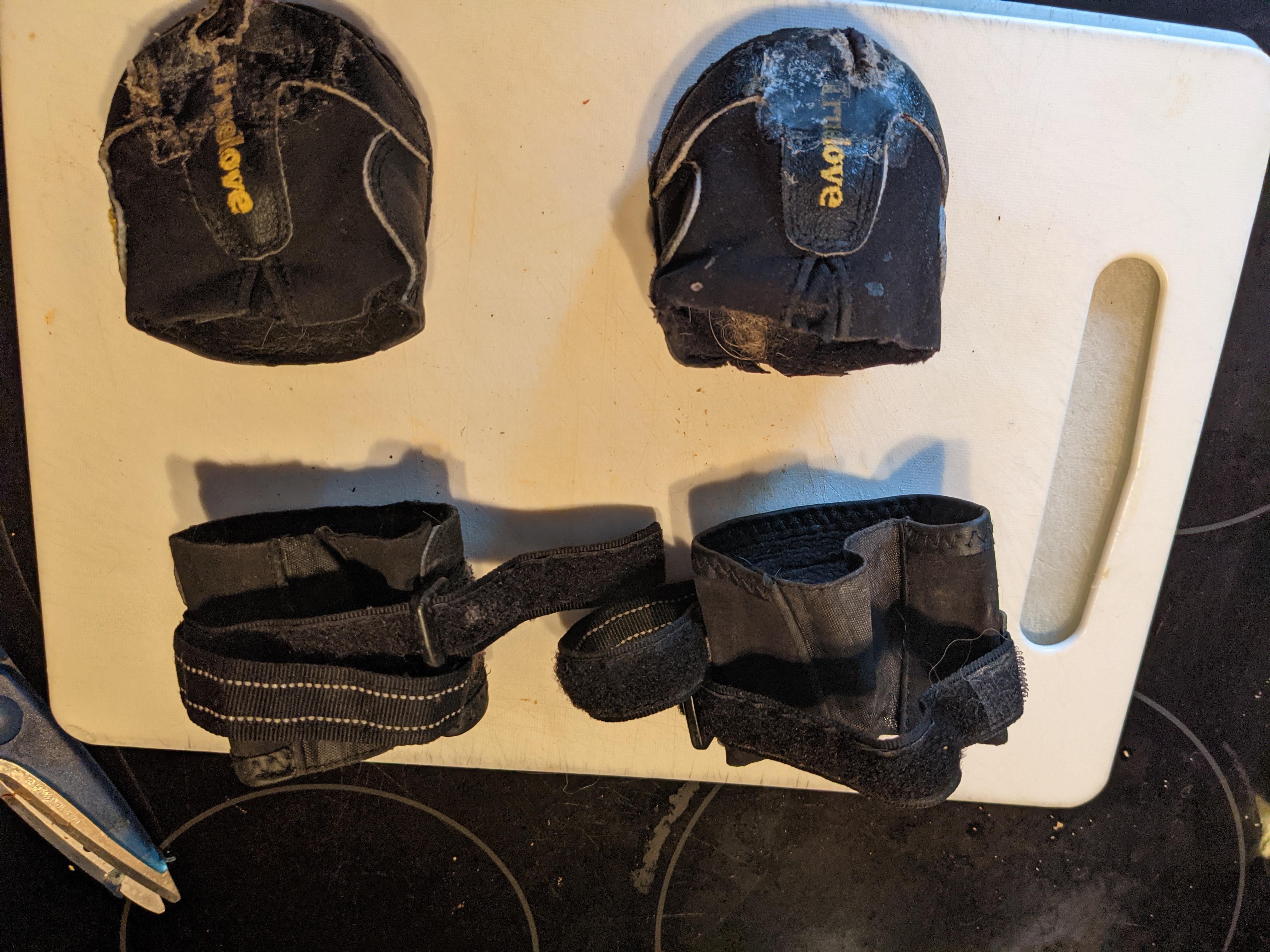 AntiKnucking Shoes for Dogs With Degenerative Myelopathy 7 Steps